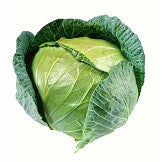 Whole Plain Cabbage