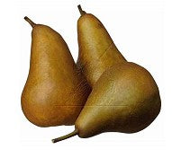 Pears Buree Bosc 500g