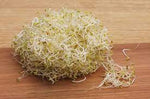 Sprout Alfalfa 125g