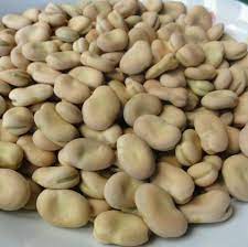 Dry Goods Broad Beans 500g