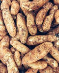 Potatoes Kiphler 500g