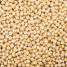 Dry Goods Soya Beans 500g
