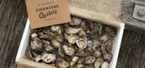 Oysters - Signature Oysters 3 Dozen PRE ORDER