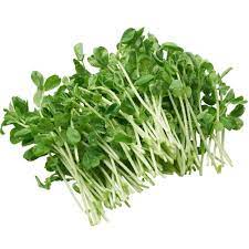 Snow Peas Sprouts 125g