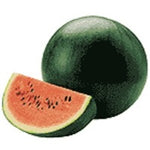 Watermelon 1/4